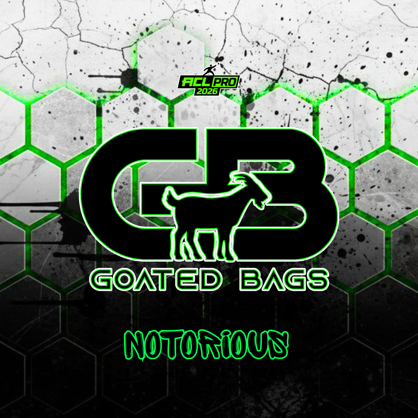 HIVE (MULTIPLE COLORS)