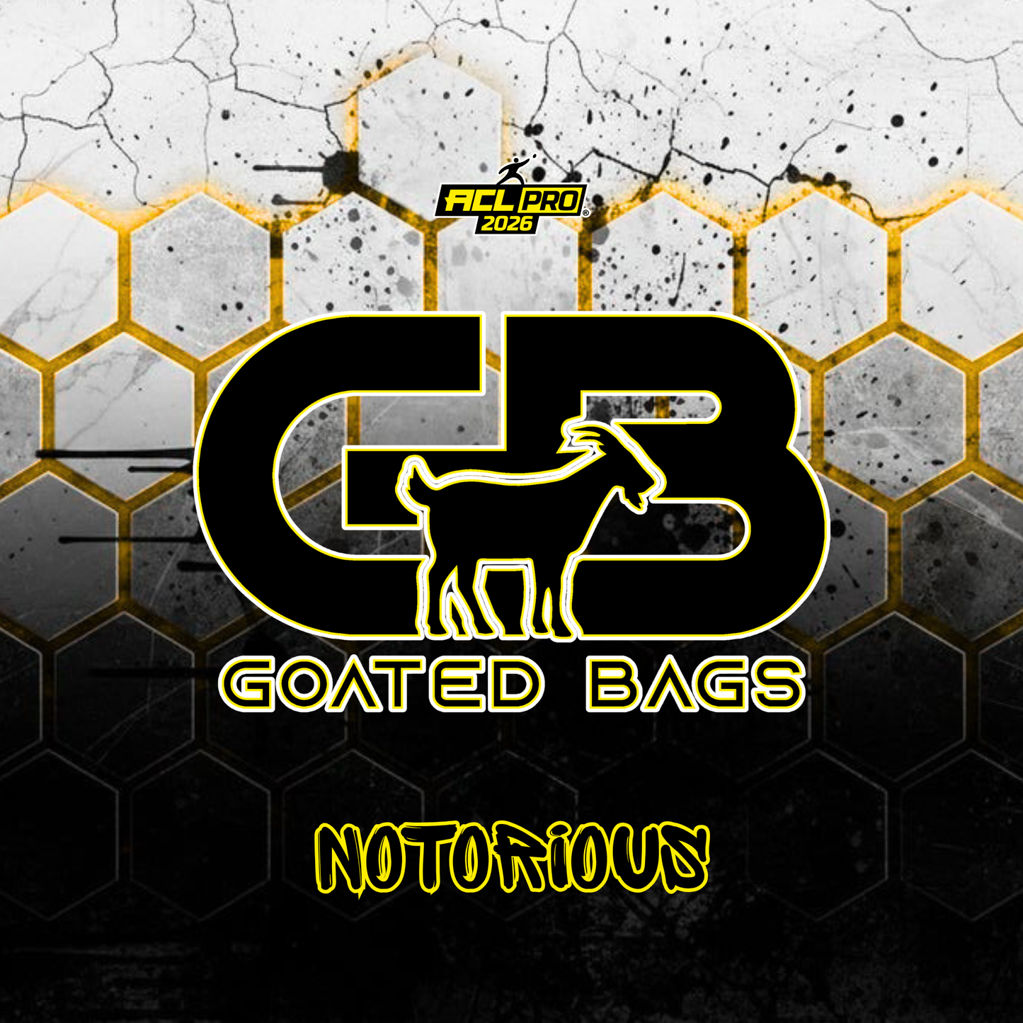 HIVE (MULTIPLE COLORS)